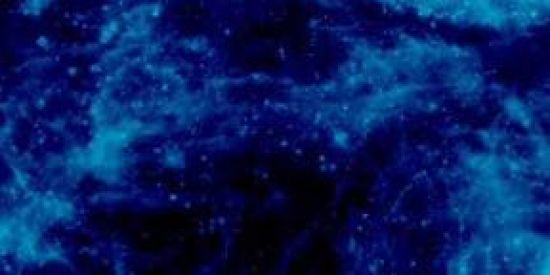 Imagem do grupo de WhatsApp Começo Poweer✅🧸