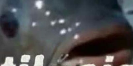 Imagem do grupo de WhatsApp TILAPIA MEMES🔥