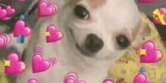 Imagem do grupo de WhatsApp Pessoas aleatórias