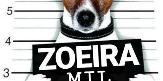 Imagem do grupo de WhatsApp Zoeira Mil Grau