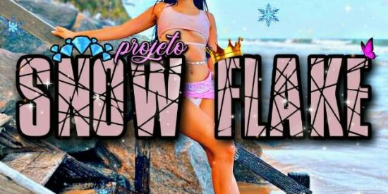 Imagem do grupo de WhatsApp 🌊 SNOW FLAKE || 04 🌊