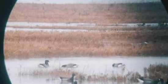 Imagem do grupo de WhatsApp 😎Os Garotos de Rondonópolis