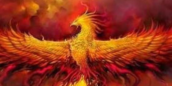 Imagem do grupo de WhatsApp 🤡Gang fenix🤡