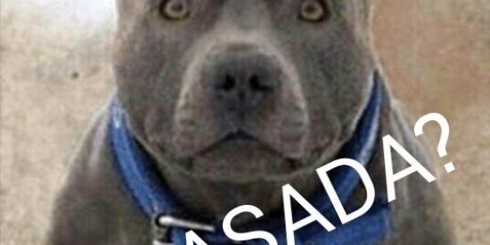 Imagem do grupo de WhatsApp Figuras