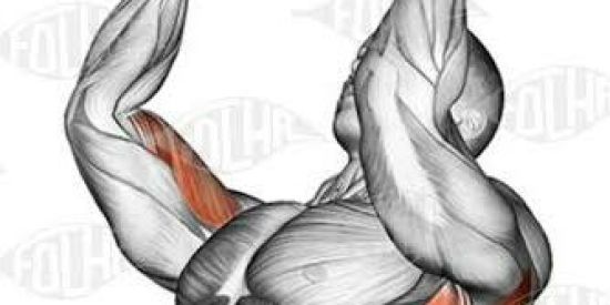 Imagem do grupo de WhatsApp Carlos Henrique ATIVO