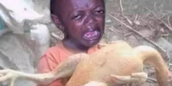 Imagem do grupo de WhatsApp Antes de mimir