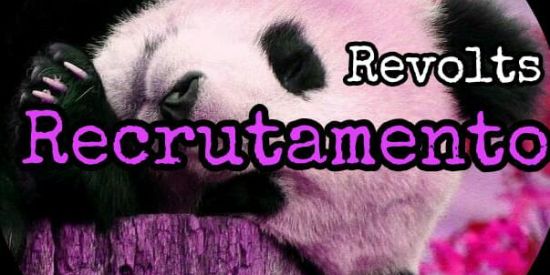 Imagem do grupo de WhatsApp Recrutamento 3🌹