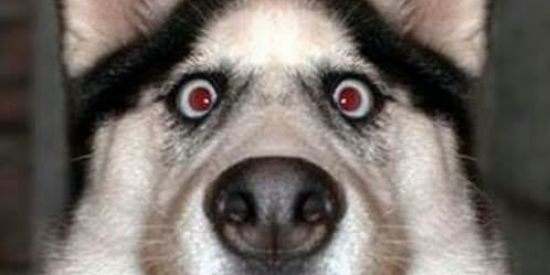 Imagem do grupo de WhatsApp Zueira total💥