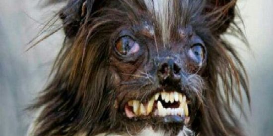 Imagem do grupo de WhatsApp Você tem que se tratar...