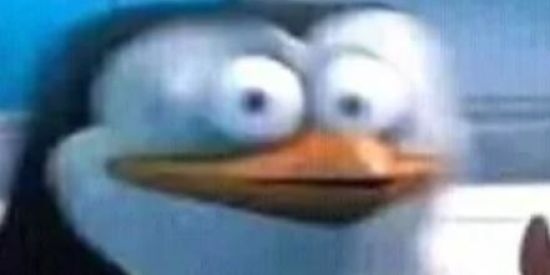 Imagem do grupo de WhatsApp ZUERAS & TALS