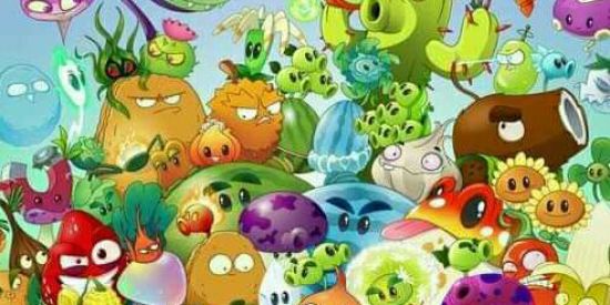 Imagem do grupo de WhatsApp Fans Do AKKE GAMEPLAYS