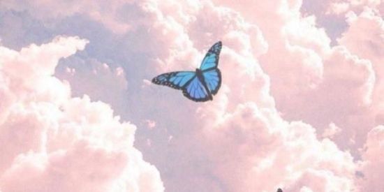 Imagem do grupo de WhatsApp PAPEL DE PAREDE☀️🌈