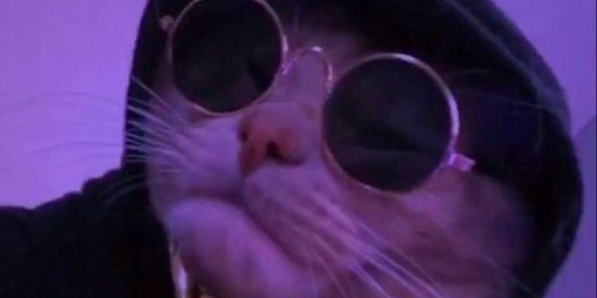 Imagem do grupo de WhatsApp Rolês das barbies adsd