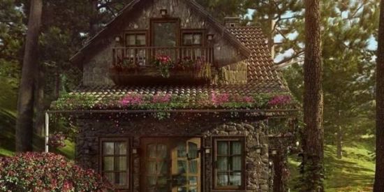 Imagem do grupo de WhatsApp Cabana da paz 💙🍃🌴