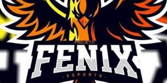 Imagem do grupo de WhatsApp FENIX FF