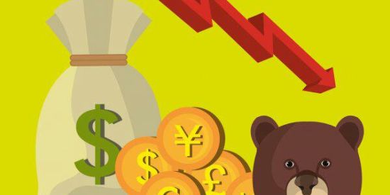 Imagem do grupo de WhatsApp 💵Investimento sem perda🍃💵