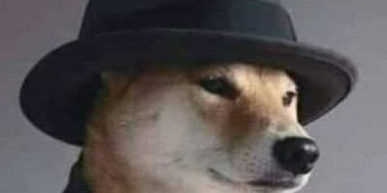 Imagem do grupo de WhatsApp GANG_STELLANTYS🇮🇲🇮🇲🇮🇲🔥