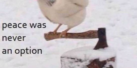 Imagem do grupo de WhatsApp ᄃӨXIПΉΛ ホット