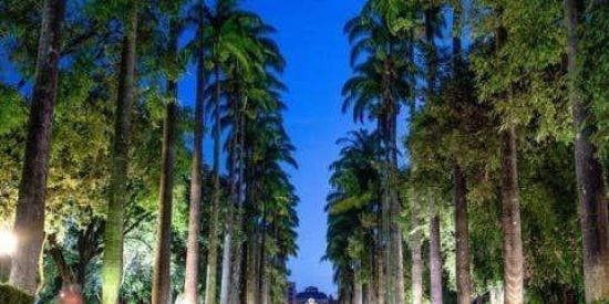 Imagem do grupo de WhatsApp Galera de BH 😎🍺