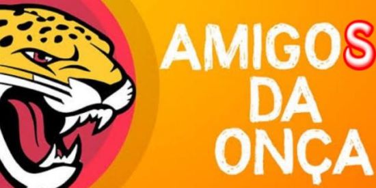Imagem do grupo de WhatsApp 🐆Amigos da Onça🐆