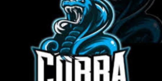 Imagem do grupo de WhatsApp RECRUTAMENTO DA GUILDA