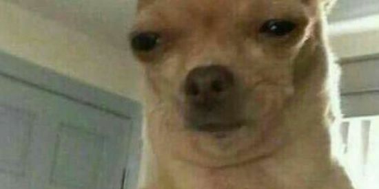 Imagem do grupo de WhatsApp cσv¡ł dσร รн¡тpσรтεяร