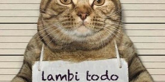 Imagem do grupo de WhatsApp Os Tops Dos Stickers