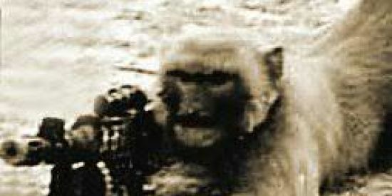 Imagem do grupo de WhatsApp MACACO's CLUB