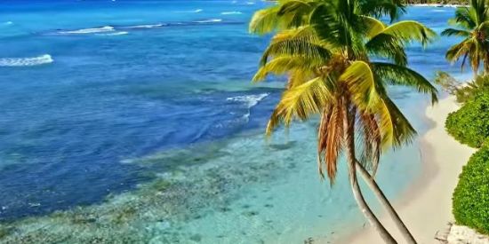 Imagem do grupo de WhatsApp YouTube 4.000h em 2 mês