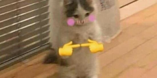 Imagem do grupo de WhatsApp união flasco🦆