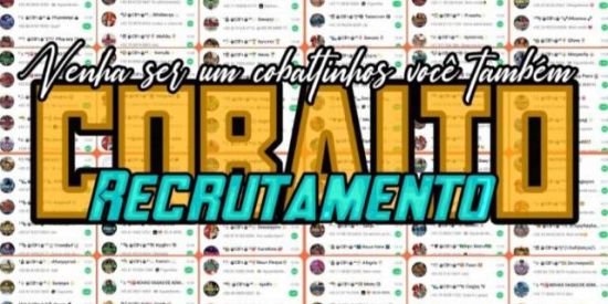Imagem do grupo de WhatsApp 🐰 RECRUTAMENTO DO COBALTO🐰