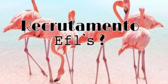Imagem do grupo de WhatsApp 🦩Recrutamento 🦩Efl`s ?🦩
