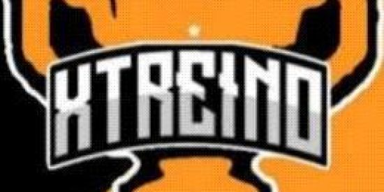 Imagem do grupo de WhatsApp XTREINO⚡