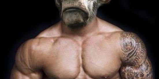 Imagem do grupo de WhatsApp ¥¥Lenda dos Shitpost¥¥