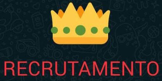 Imagem do grupo de WhatsApp 👑seguidores e amizades 👑