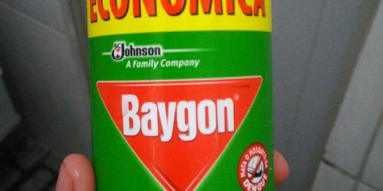 Imagem do grupo de WhatsApp Baygon🦟