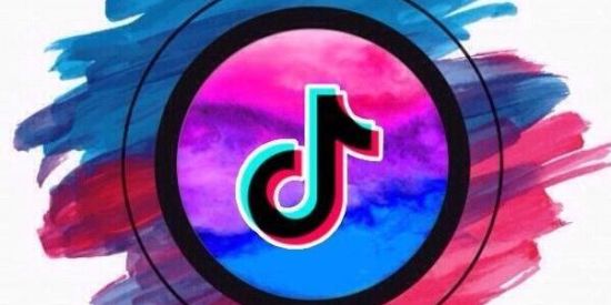 Imagem do grupo de WhatsApp Divulga Tik Tokers