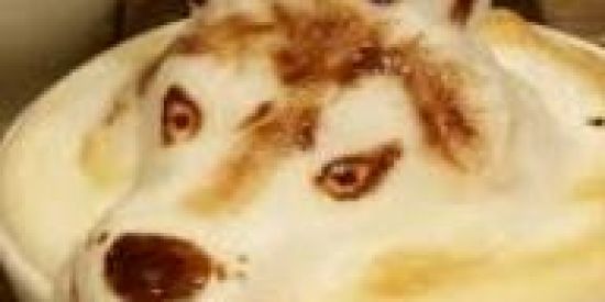 Imagem do grupo de WhatsApp ☕Cafe com Leite🍪