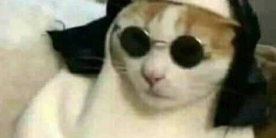 Imagem do grupo de WhatsApp Só coisa louca 💀🔪🪓