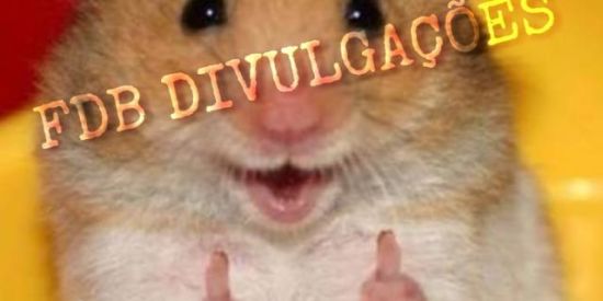 Imagem do grupo de WhatsApp 💥FDB DIVULGAÇÕES 💥