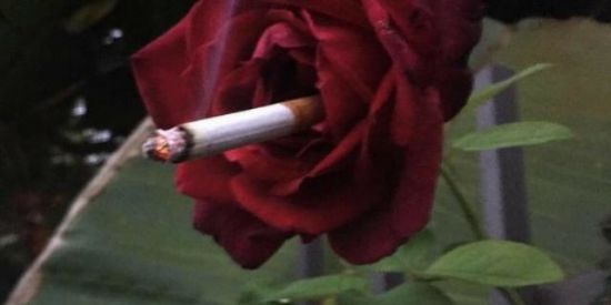 Imagem do grupo de WhatsApp ≈ ғɪʟᴏsᴏғɪᴄ ɢʀᴏᴜᴘ ≈