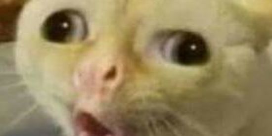 Imagem do grupo de WhatsApp Sem escândalo fml 🤫🥱✌️