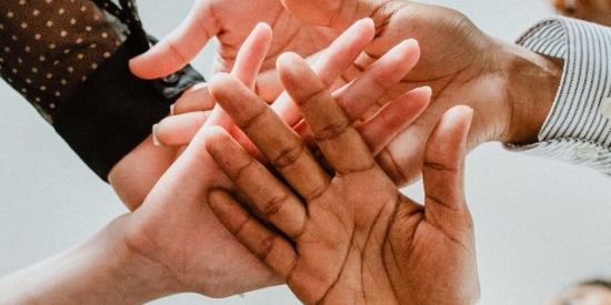 Imagem do grupo de WhatsApp Adotados 🧸