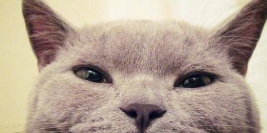 Imagem do grupo de WhatsApp MÃE, TÔ NO WHATSAPP🤡👻👽