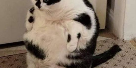 Imagem do grupo de WhatsApp Wall Street