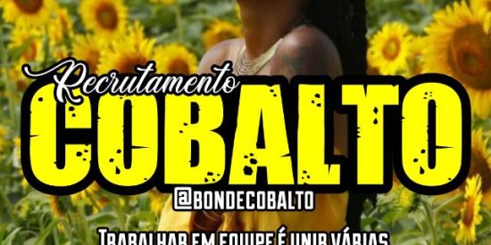 Imagem do grupo de WhatsApp Recrutamento Cobalt
