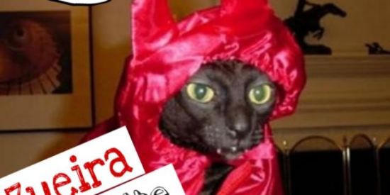 Imagem do grupo de WhatsApp ZUEIRA 100 LIMITES 😏😏😁