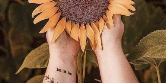 Imagem do grupo de WhatsApp ✨Sunflowers🌻GIRASSOL 🌻💛