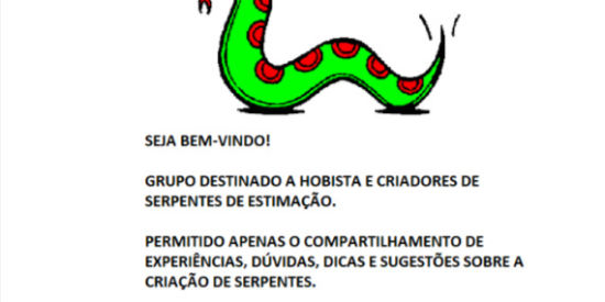 Imagem do grupo de WhatsApp Criadores de Serpentes