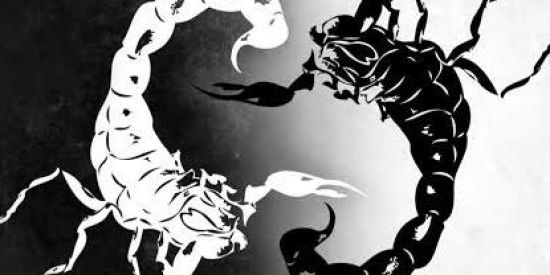 Imagem do grupo de WhatsApp ⚡RECRUTANDO SK'S⚡